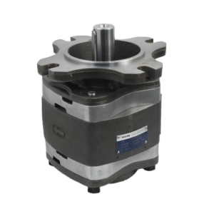 Voith gear pump IPV4-20-170