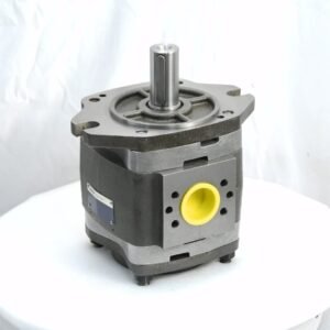 Voith gear pump IPVP3-10-101