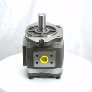 Voith gear pump IPVP5-40-101