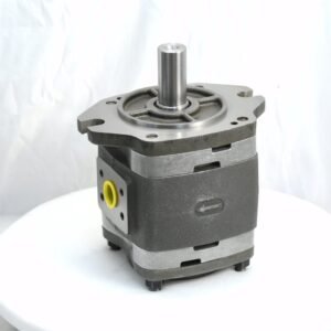 Voith gear pump IPVP6-80-601