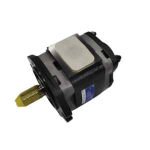 Voith gear pump IPVS7-160-610