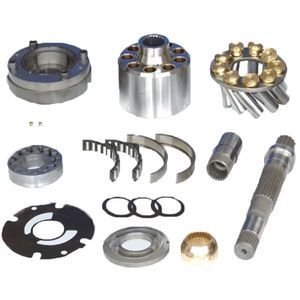 Hydraulic Piston Pump Repair Parts Kit for Rexroth A4VS0125
