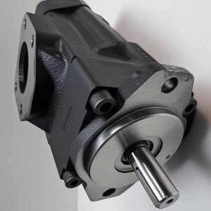 Denison Double Vane Pump  T67CB 020 B10 1R00 A1M1 (024-63178-0, T67CB 020 B10 1R** A1M1)