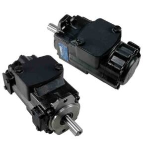 Denison Double Vane Pump T6EDM 045 B45 1R00 C1 (024-49622-0, T6EDM 045 B45 1R** C1)
