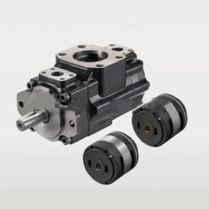 Denison Double Vane Pump T7BB Y06 Y06 5R00 A1M1 (054-38703-0, T7BB Y06 Y06 5R** A1M1)