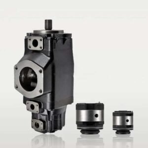 Denison Double Vane Pump T7BBS B11 B09 5R00 A1M1 (024-94147-0, T7BBS B11 B09 5R** A1M1)