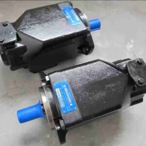 Denison Double Vane Pump T7DDS B22 B22 2R00 A1M0 (054-36898-0, T7DDS B22 B22 2R** A1M0)