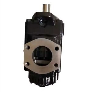 Denison Double Vane Pump T7DDS B14 B14 2R00 A100 (054-48480-0, T7DDS B14 B14 2R** A100)