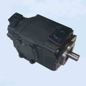 Denison Double Vane Pump T7DBS B24 B12 2L00 A100 (024-90903-0, T7DBS B24 B12 2L** A100)