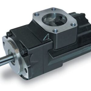 Denison Double Vane Pump T7DBS B38 B15 3R00 A100 (024-90175-0, T7DBS B38 B15 3R** A100)