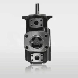 Denison Double Vane Pump T6CCM B14 B25 3R00 D100 (024-49493-0, T6CCM B14 B25 3R** D100)