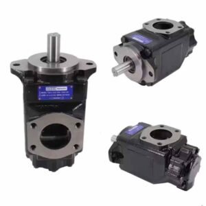 Denison Double Vane Pump T6CCM B20 B20 5R00 D100 (024-49685-0, T6CCM B20 B20 5R** D100)